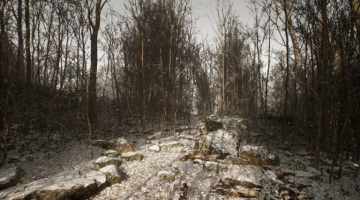 Abandoned